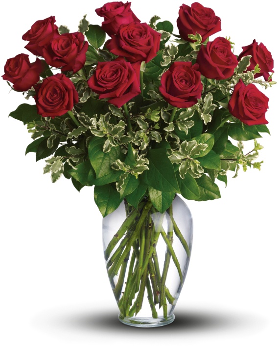 Long Stemmed Red Roses