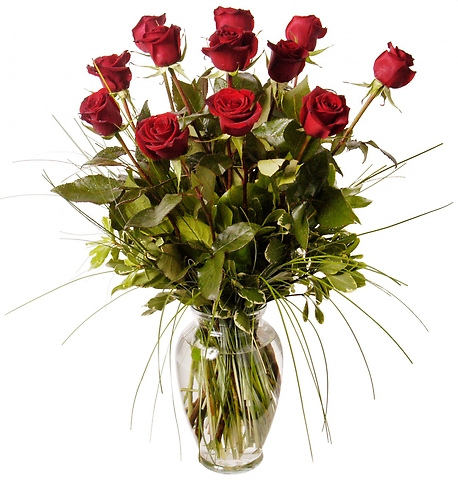 Classic Long-Stemmed Roses, Large Blooms 70-CM