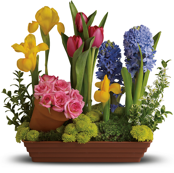 Designer\'s Choice Spring Favorites Fresh-Cut Flowers