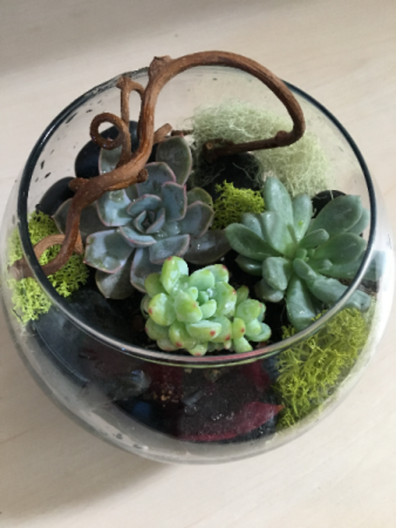 Miniature Terrarium