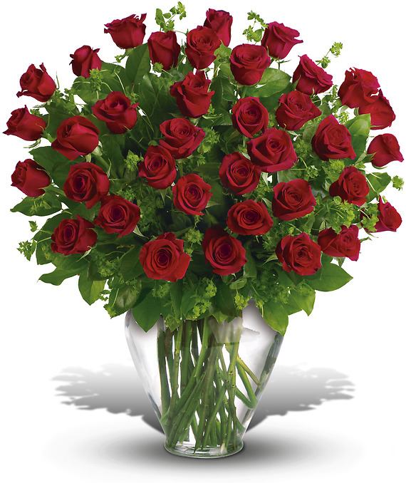 My Perfect Love - 2 Dozen Long Stemmed Red Roses, 70 CM