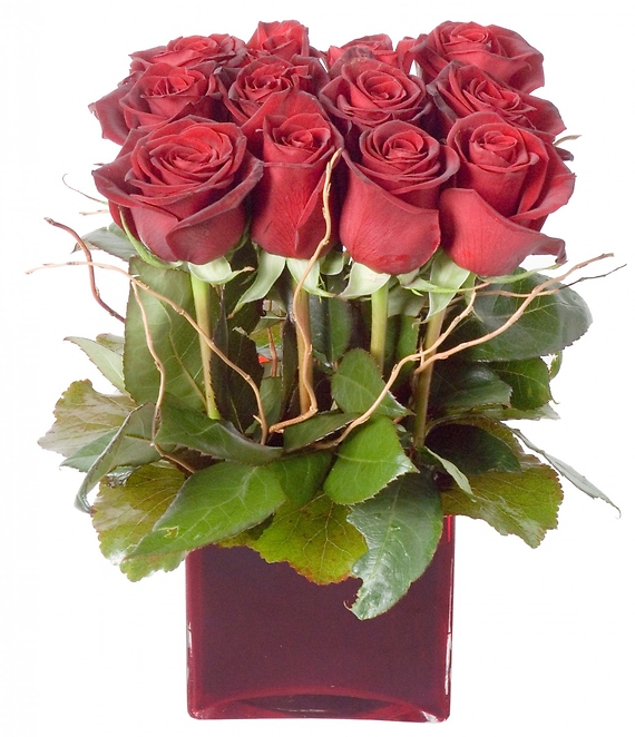 Modern Red Roses - Low and Tight