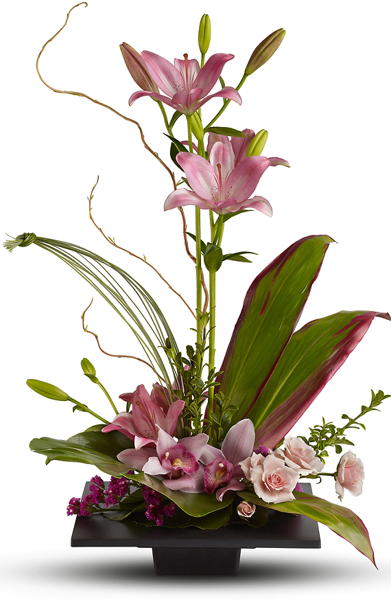 Imagination Blooms with Cymbidium Orchids Designer\'s Choice