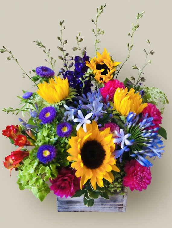 Seasonal Flowers in a Box Designer\'s Choice