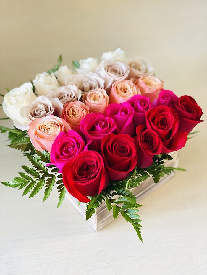 Pave Roses
