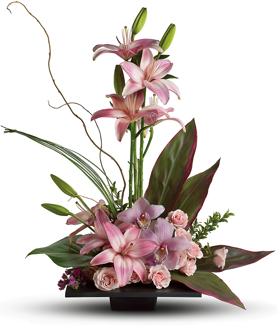 Imagination Blooms with Cymbidium Orchids Designer\'s Choice