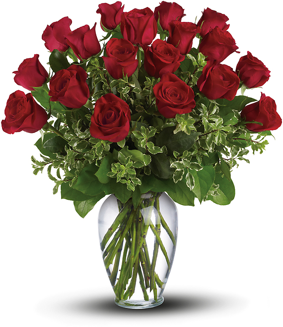 Long Stemmed Red Roses