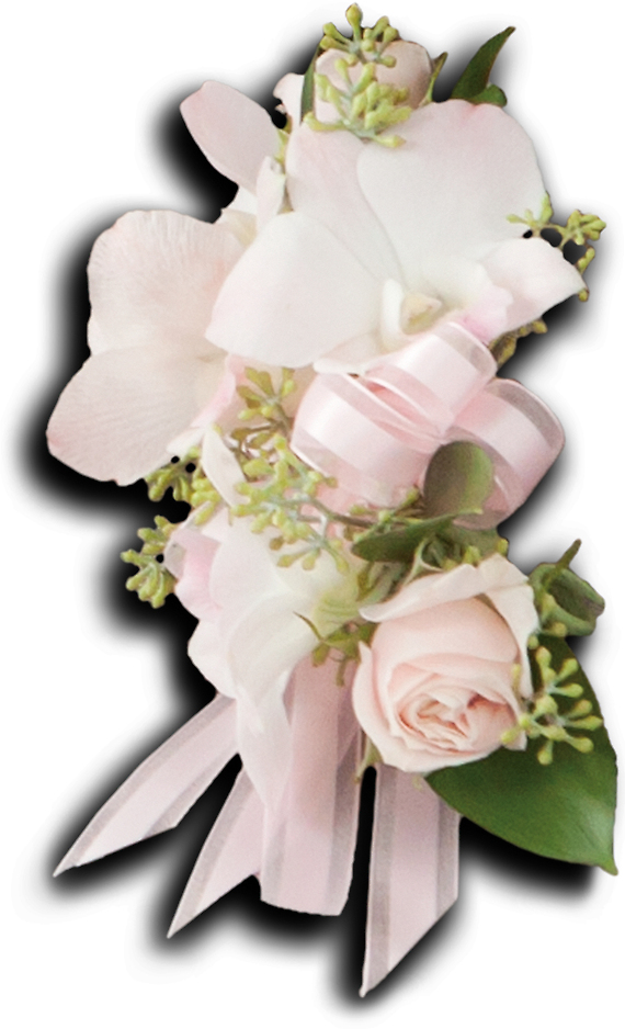 Beautiful Blush Corsage