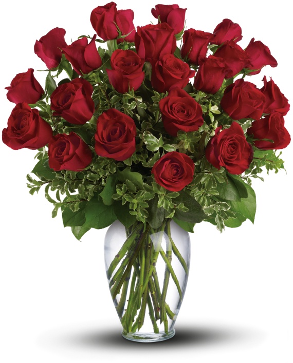 Long Stemmed Red Roses