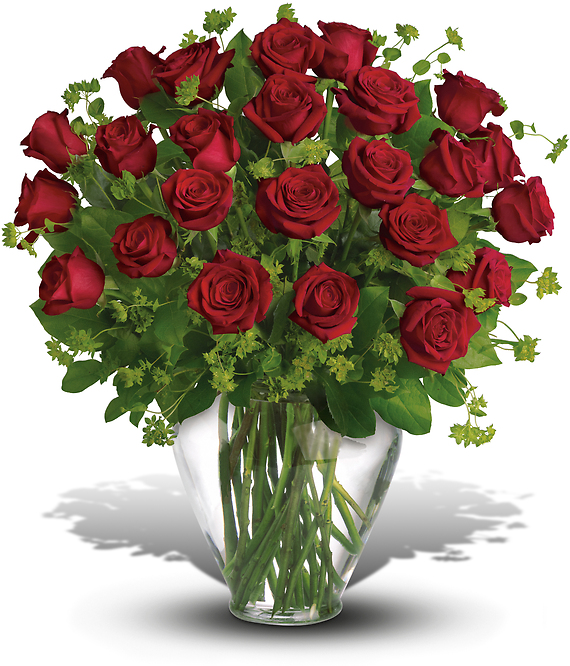 My Perfect Love - 2 Dozen Long Stemmed Red Roses, 50 CM
